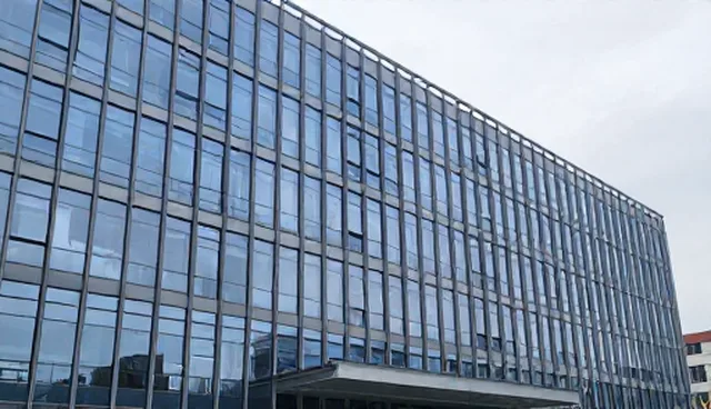 数据可视化提示词如何影响内容质量
