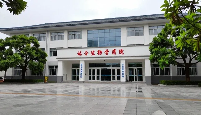 道歉信提示词:如何用土味情话挽回感情