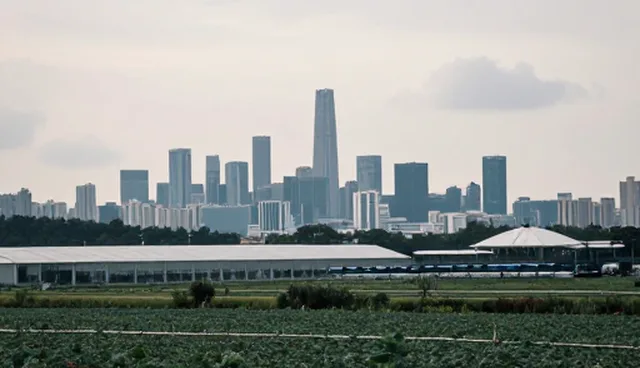 缩写提示词在实际场景中的应用困惑