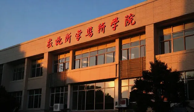 内容维护中的应用场景分析与检查要点