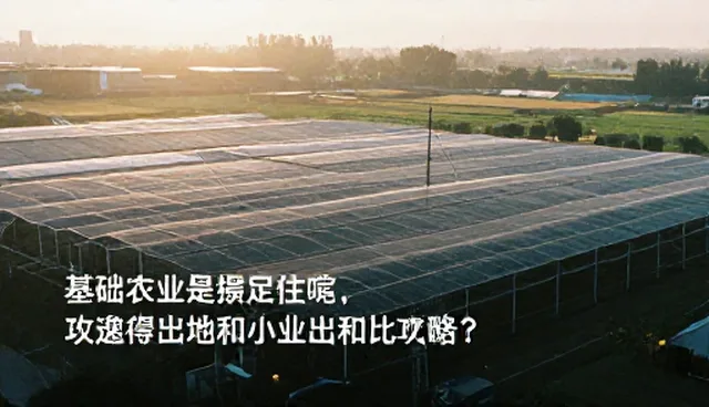 食谱推荐提示词在基础版功能中的适用情况与限制